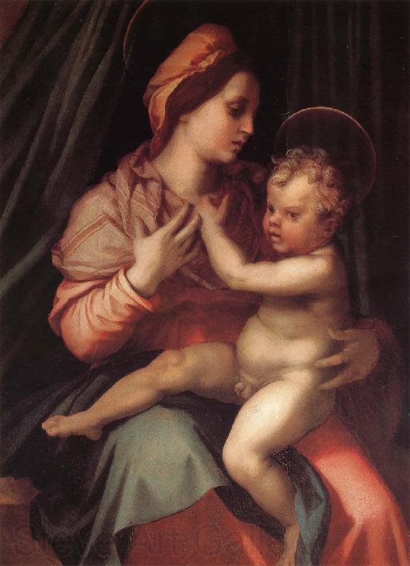 Andrea del Sarto Virgin Mary and her son Spain oil painting art